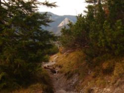 2013-10-26_Schildenstein (375).JPG
